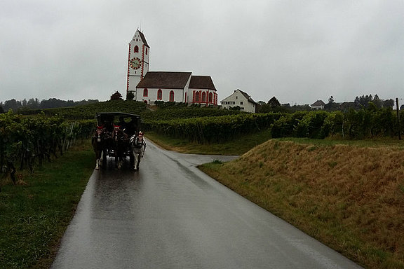 Vereinsreise nach Hallau 