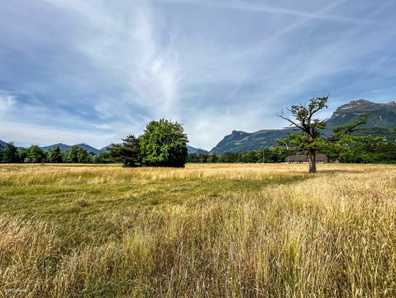 Eine typische Savannenlandschaft die ein Zuhause z.B. für Buntspecht und Gartenrotschwanz bietet. Bild3.jpg
